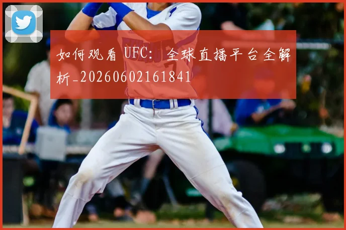 如何观看 UFC：全球直播平台全解析_20260602161841